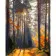 Paint by number Strateg PREMIUM Forest at dawn size 40x50 cm (GS717)