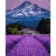 Paint by number Strateg PREMIUM Lavender landscape size 40x50 cm (GS718)