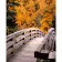 Paint by number Strateg PREMIUM Autumn park size 40x50 cm (GS721)