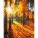 Paint by number Strateg PREMIUM The sun in autumn size 40x50 cm (GS727)