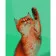 Картина по номерам Strateg ПРЕМИУМ Привет от кошки с лаком размером 40х50 см (GS778)