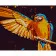 Paint by number Strateg PREMIUM Bright parrot with varnish size 40x50 cm (GS787)