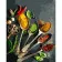 Paint by numbers Strateg PREMIUM Spices of Asia size 40x50 cm (GS812)