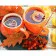 Paint by number Strateg PREMIUM Autumn tea with varnish size 40x50 cm (GS846)