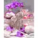 Paint by numbers Strateg PREMIUM Relaxation with orchids size 40x50 cm (GS929)