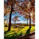 Paint by numbers Strateg PREMIUM A walk in autumn size 40x50 cm (GS964)
