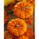 Paint by numbers Strateg PREMIUM Couple of pumpkins size 40x50 cm (GS984)