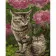 Картина за номерами Strateg ПРЕМІУМ Котики у квітах розміром 40х50 см (GS997)