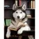 Diamond mosaic Strateg PREMIUM Husky with a book, 30x40 cm (HEG85020)