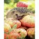 Diamond mosaic Strateg PREMIUM Hedgehog with apples, 30x40 cm (HEG86024)