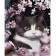 Картина за номерами Strateg ПРЕМІУМ Котик у квітах розміром 40х50 см (HH005)