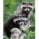 Paint by numbers Strateg PREMIUM Raccoons on a branch size 40x50 cm (HH008)