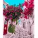 Paint by numbers Strateg PREMIUM Flower streets of Santorini size 40x50 cm (HH076)