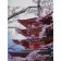 Diamond mosaic Premium HX063 "Sakura blossom", 30x40 cm