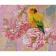 Diamond mosaic Premium HX084 "Watercolor parrot", 30x40 cm