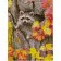 Diamond mosaic Premium HX182 "Raccoon in autumn", 30x40 cm