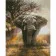 Diamond mosaic Premium HX205 "Elephant in the sun", 30x40 cm