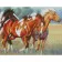 Алмазная мозаика Премиум Дикие лошади 30x40 см HX389
