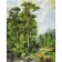 Diamond Mosaic Strateg PREMIUM Forest in the mountains size 30x40 cm (KB086)