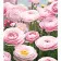 Paint by number Strateg PREMIUM Petal dreams with varnish and level 30x40 cm (LY21)