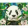 Paint by number Strateg PREMIUM Panda paradise with lacquer and level 30x40 cm (LY55)