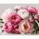 Paint by number Strateg Pink beauty of peonies on a colored background size 40x50 cm (MZ021)