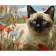 Paint by number Strateg Siamese cat among wildflowers on a colored background size 40x50 cm (MZ027)