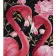 Paint by number Strateg Pink flamingos with flowers on a colored background size 40x50 cm (MZ061)