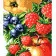 Paint by number Strateg Juicy berries and fruits on a colored background size 40x50 cm (MZ068)