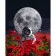 Paint by number Strateg PREMIUM Cosmonaut on the field with varnish size 40х50 cm VA-3592