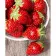 Paint by number Strateg PREMIUM Bowl of strawberries with varnish size 40х50 cm VA-3616