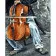 Paint by number Strateg PREMIUM Cello music with varnish size 40х50 cm VA-3617