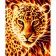 Paint by number Strateg PREMIUM Fire leopard with varnish size 40х50 cm VA-3645