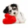 Paint by number Strateg PREMIUM Puppy with a heart with varnish size 40х50 cm VA-3669