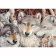  Diamond mosaic Wolf pack without a subframe 50x65 cm (SGK75702)