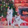 Painting by numbers Strateg PREMIUM Husky under the Christmas tree with varnish and level, 40x40 cm (SK065)