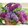 Diamond mosaic Strateg PREMIUM Lilac in a basket 40x50 cm (SK85984)