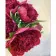 Diamond mosaic Strateg PREMIUM Bright peonies 40x50 cm (SK85990)