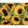 Diamond mosaic Strateg PREMIUM Bouquet of sunflowers 40x50 cm (SK86004)