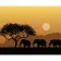 Diamond mosaic Strateg PREMIUM African safari 40x50 cm (SK86011)