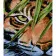 Paint by numbers Strateg PREMIUM Tiger in a letter size 30x40 cm (SS-6474)