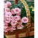 Paint by numbers Strateg PREMIUM Rose basket with varnish size 30х40 sm (SS-6498)