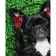 Paint by numbers Strateg PREMIUM Music lover dog with varnish size 30х40 sm (SS-6507)