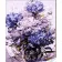 Картина за номерами Strateg ПРЕМІУМ Чарівні квіти з лаком та з рівнем розміром 30х40 см (SS1018)