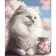Paint by number Strateg PREMIUM Fluffy cat with varnish and level 30x40 cm (SS1026)