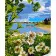 Картина по номерам Strateg ПРЕМИУМ Ромашки на берегу озера с лаком и уровнем размером 30х40 см (SS1033)