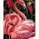 Paint by number Strateg PREMIUM Pink flamingo with varnish and level 30x40 cm (SS1052)