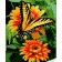 Paint by number Strateg PREMIUM Butterfly on zinnia with varnish and level 30x40 cm (SS1085)