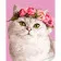Картина за номерами Strateg ПРЕМІУМ Кішка з вінком із квітів з лаком та з рівнем розміром 30х40 см (SS1101)