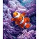 Картина по номерам Strateg ПРЕМИУМ Золотая рыба с лаком и уровнем размером 30х40 см (SS1147)
